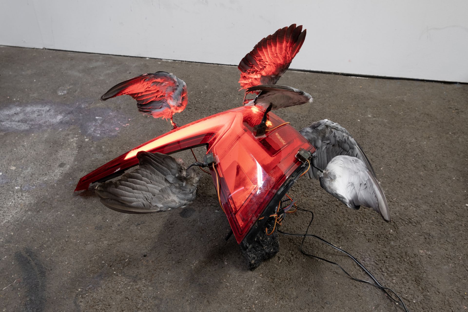 Hanna Antonsson