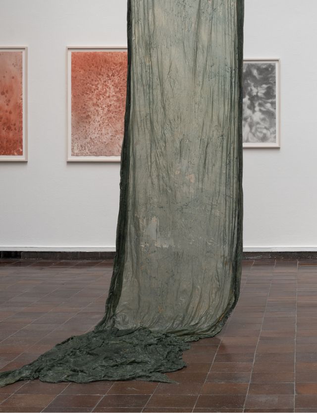 Amanda Björk